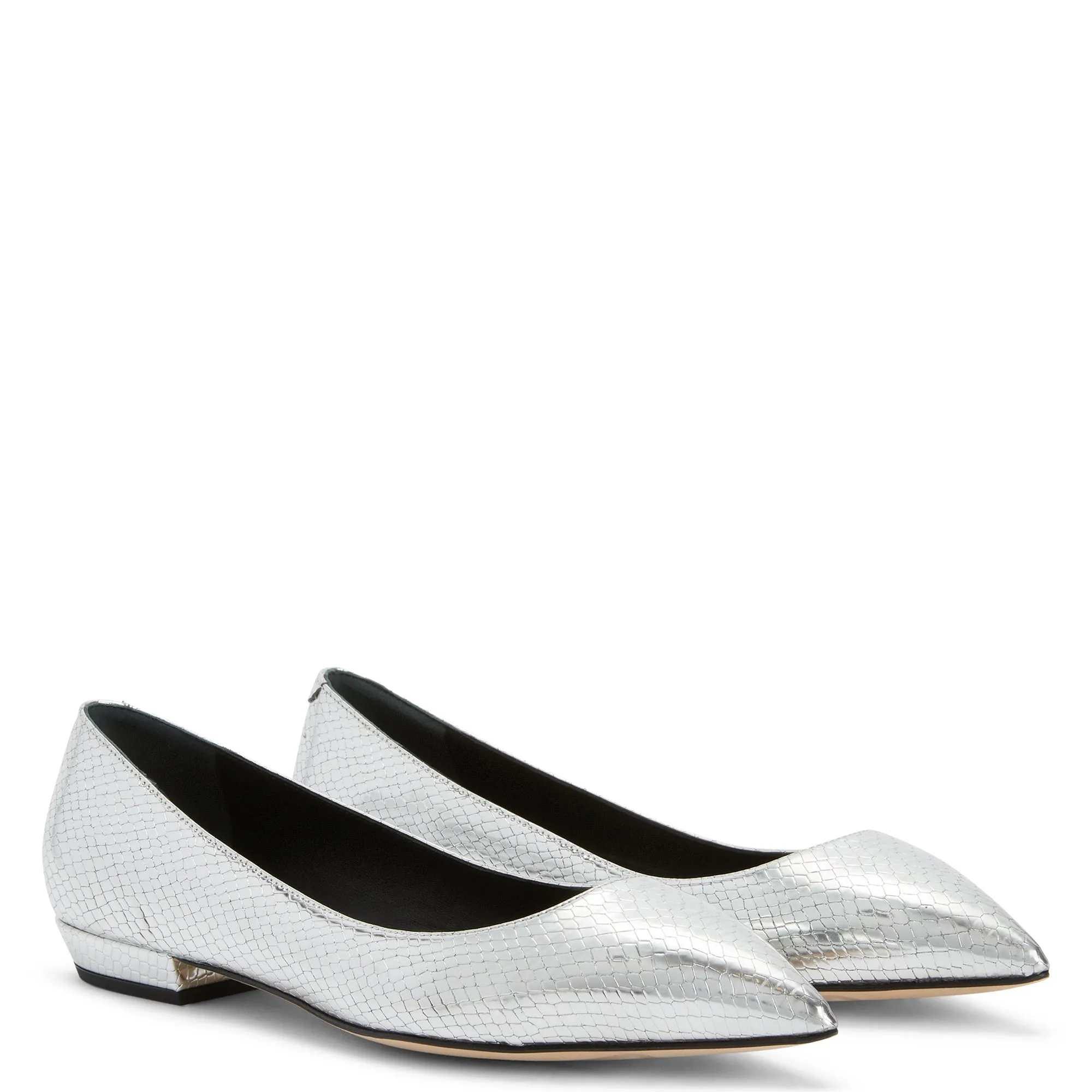 Giuseppe Zanotti Dhalia