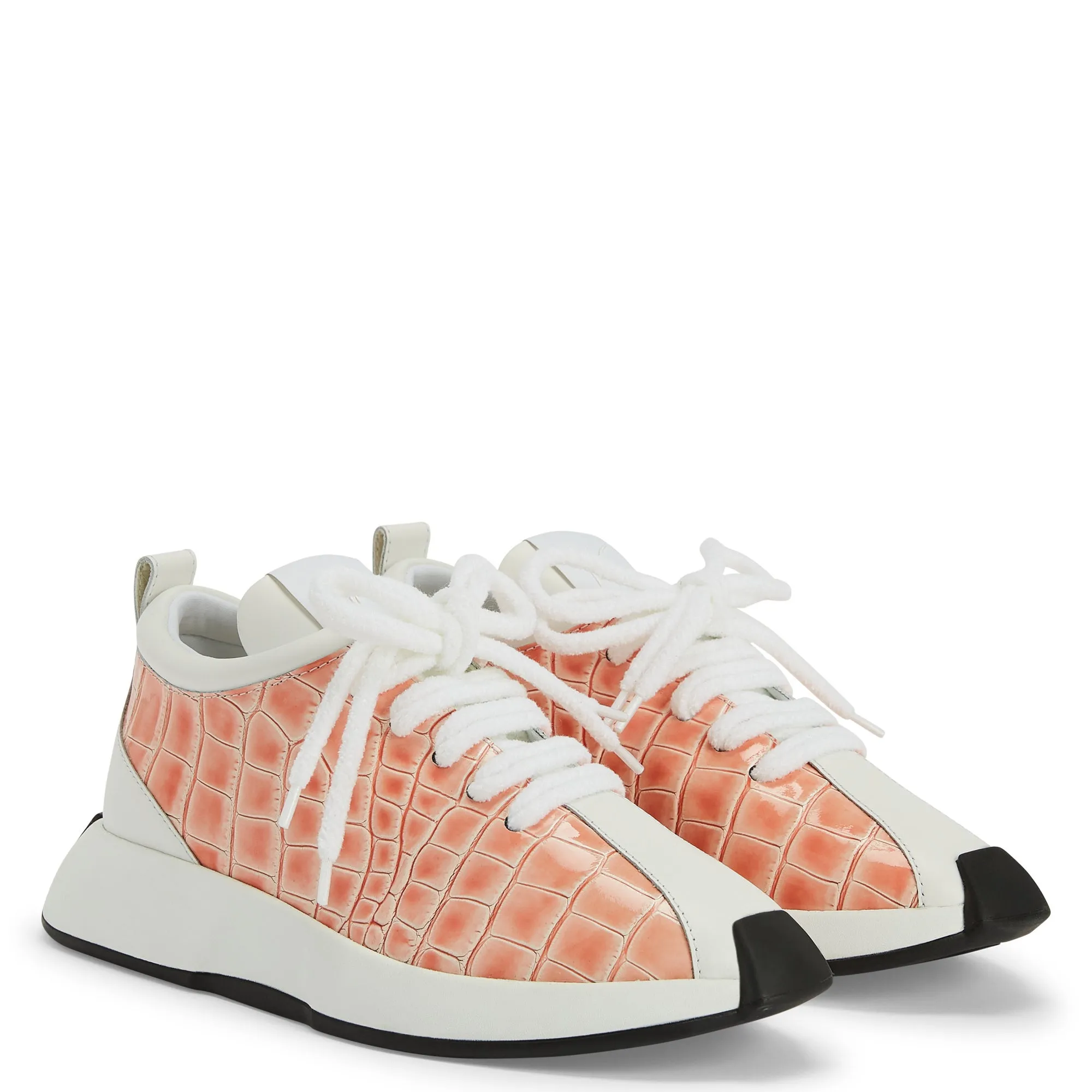 Giuseppe Zanotti Giuseppe Zanotti Ferox