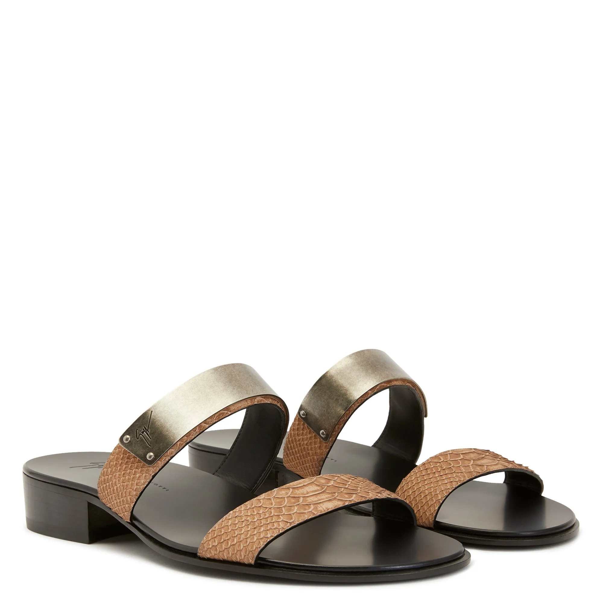 Giuseppe Zanotti Ignazio