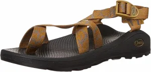 Men's Zcloud 2 Sandal In Aerial Bronze
