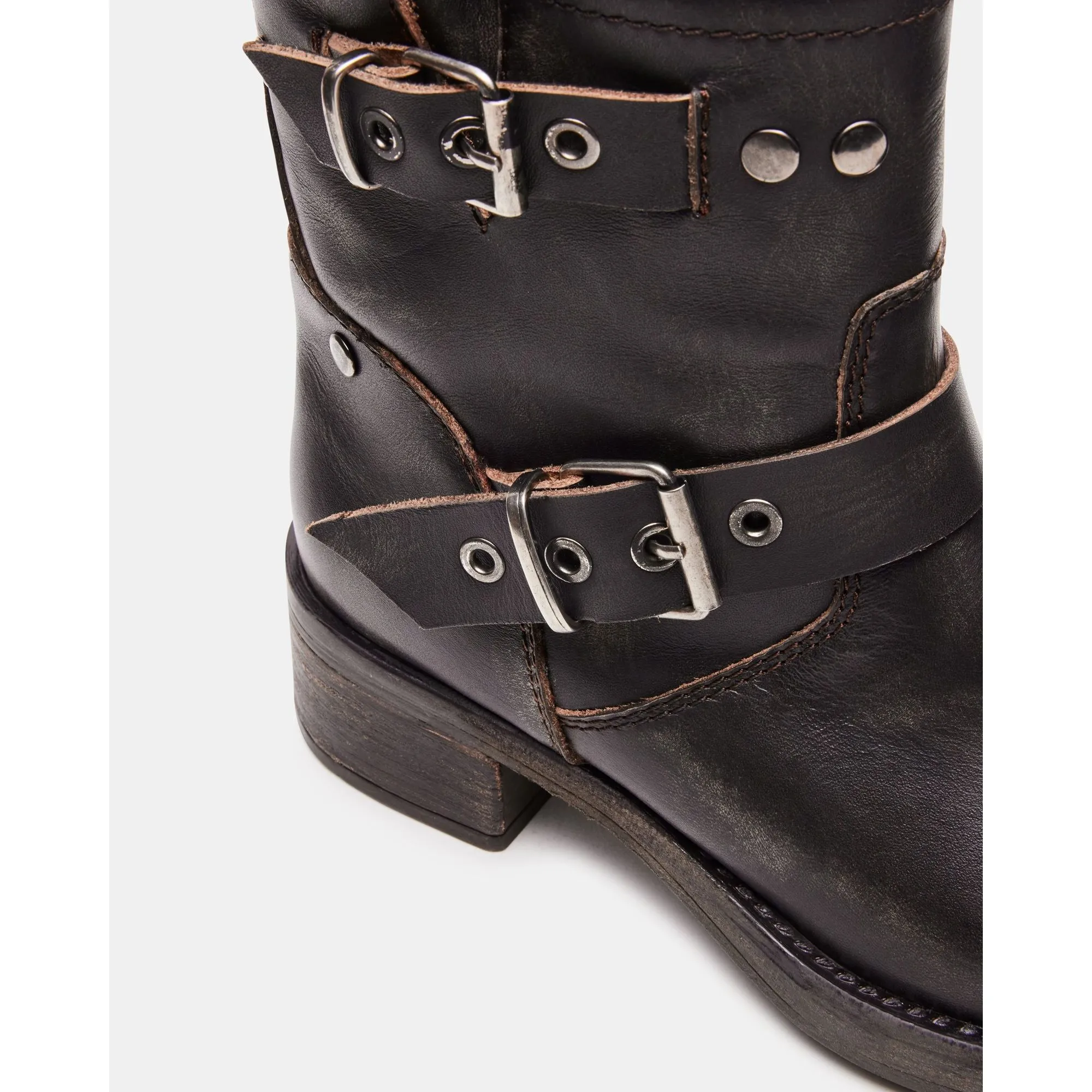 Rampant Brown Distressed